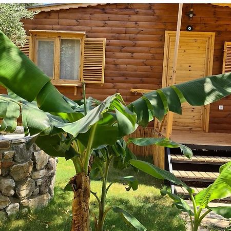 Derin Tas-Bungalow Datca Exterior photo