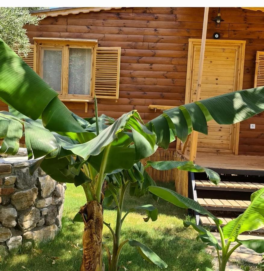 Derin Tas-Bungalow Datca Exterior photo